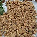 근혜농장 이미지