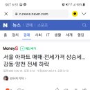 파인타운 티스토리