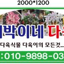 대박이네다육