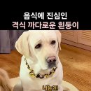 음식은 격식을 갖추어 주시개 이미지