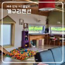 제주키즈펜션 개구리펜션 이미지