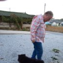 차오차오 이미지