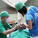 미아름다운치과의원 이미지