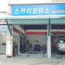 스카이 모터스 이미지