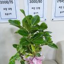 보람 공인중개사사무소 이미지