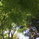 겨울이와여름이 이미지