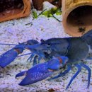 동천카정비 이미지