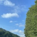 김순녀 | [독일생활, 9월의 넷째주 일요일] 🇧🇪가족들과 함께한 벨기에 바뇌성지 여행기 | 첫째날 | 바뇌 성모...