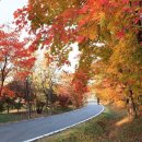 단풍 절정기에 무조건 가야 하는 &#39;무료 명소&#39; 3곳 이미지