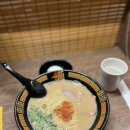 [후쿠오카] 지극히 주관적인 맛집리뷰 | 이치란,쿠라스시,모츠나베,멘타이쥬,호시노커피