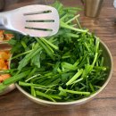 시청 주차동 화장실 | 부산 시청역 맛집 깔끔한 국물로 해장에 최고인 국밥집 [동합국밥]