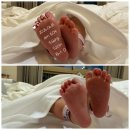 아나이스 | 대구 아나이스 산후조리원 디럭스 상세 후기(시설, 교육 프로그램, 마사지, 조리원 생활, 남편 출입 등)
