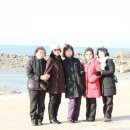 실미도 Daum카페