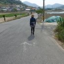 고미마을회관 티스토리