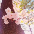 마음수련 이미지