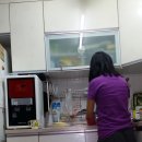 쁘띠아르브르 이미지