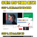 다음 카페에 유튜브 영상 올리기 소스코드로 올리기 이미지