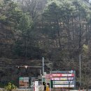 한반도면-10 | 강원도 영월 가볼만한곳 추천 한반도지형 전망대, 단종의 능 영월장릉 방문후기(애견동반X)