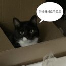 라도헤어 - 북구 비엔날레로 101 | 라도헤어