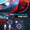뉴-카외형복원