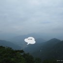 [국도34] 괴산군 적석리 Daum카페