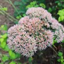 여치공원 이미지