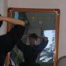 미경스