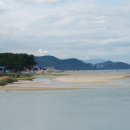 소나무비치민박 네이버블로그