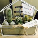 원헤어(WON HAIR) 이미지