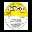 Robert John / The Lion Sleeps Tonight 이미지