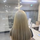 데일리수 이미지