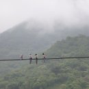 텃밭야채 Daum카페