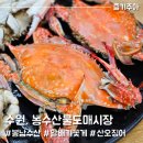 GS25권선세권로점 | 수원 농수산물도매시장 꽃게찜, 봉남수산 &amp; 초장집 후기