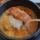 삼수장어 이미지