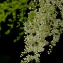 행현1리 마을회관 이미지