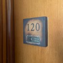 산록남로 | 제주 부모님과 방문하기 좋은 포도호텔 디럭스 한실 후기