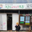 킴스베리 이미지