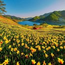 저수지목장 이미지