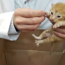 페토브 동물병원 이미지