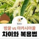 꿀 (아카시아꿀 vs 밤꿀) 그리고 꿀 10가지 이미지