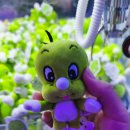 둘리인형뽑기 이미지