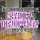 대구박물관 | 대구 가족 나들이 추천 — 어린이 박물관 체험 후기가 궁금하다면