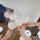 남해미미 | 남해 기념품 추천 준조양조 특별한 남해탁주 9.5도 프리미엄 생막걸리 맛집