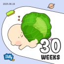 꼬몽 | [꼬몽일기] 달려라 달려 꼬몽쓰&#39;s 30weeks ..