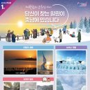 충남 1 충남일보