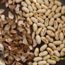 조은차만들기 이미지