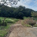 연일공원 입구 이미지