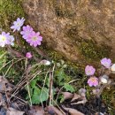 구곡폭포 이미지