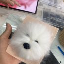 의정부 소소한작당 양모펠트 원데이클래스 후기