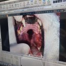 태일동물치과병원 이미지